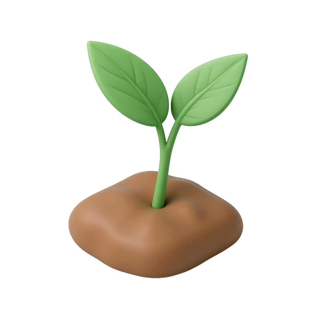 3D Plant